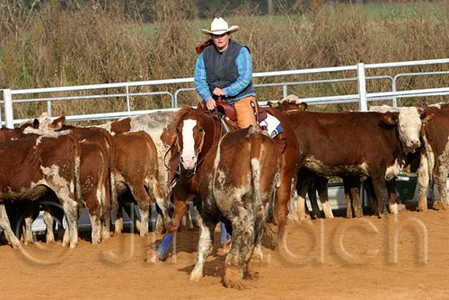 QH062_1097n.jpg