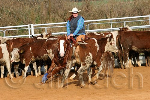 QH062_1100n.jpg