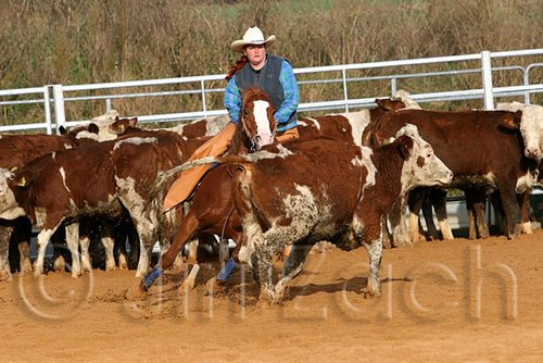 QH062_1101n.jpg