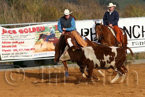 QH062_1104n.jpg
