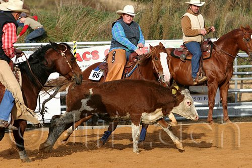 QH062_1108n.jpg