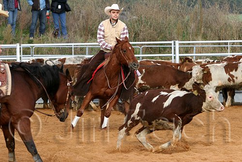 QH062_1113n.jpg