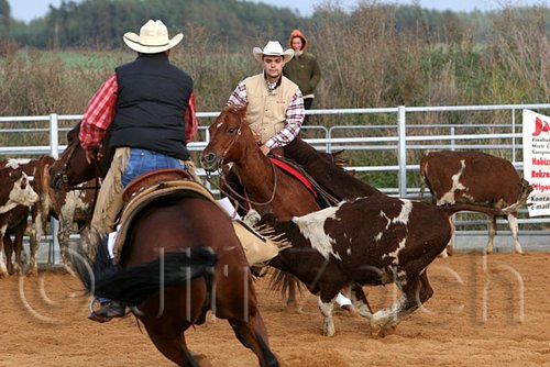 QH062_1117n.jpg