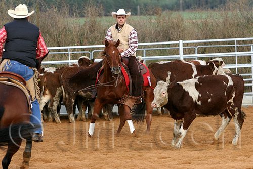 QH062_1118n.jpg