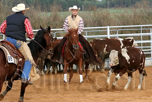 QH062_1119n.jpg