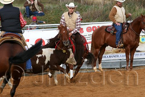 QH062_1125n.jpg