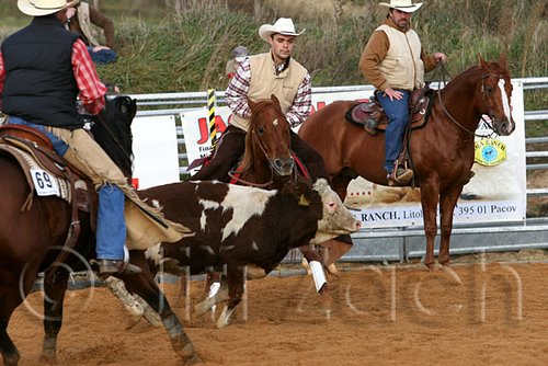 QH062_1126n.jpg
