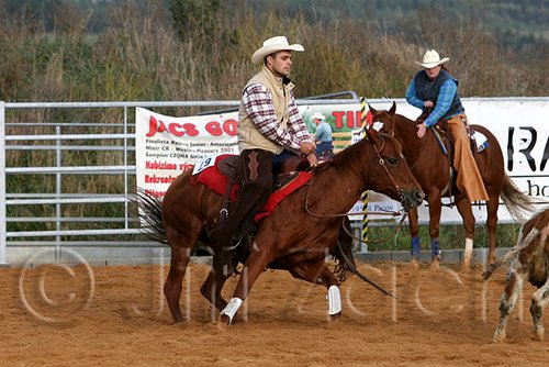 QH062_1130n.jpg
