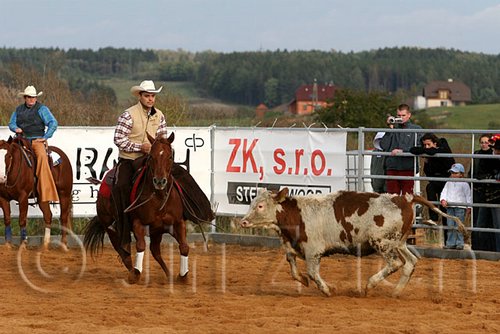 QH062_1136n.jpg