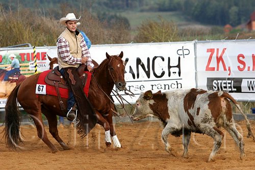 QH062_1139n.jpg