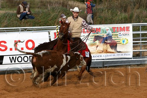 QH062_1144n.jpg