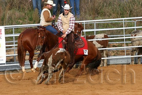 QH062_1148n.jpg