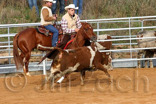 QH062_1150n.jpg