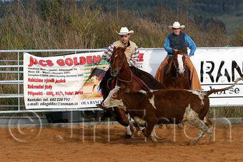 QH062_1152n.jpg