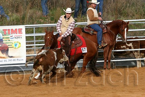 QH062_1155n.jpg