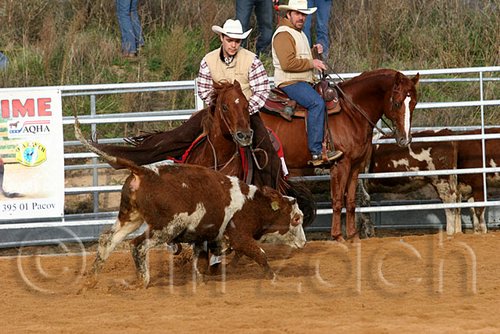QH062_1156n.jpg