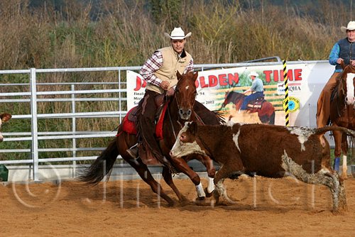 QH062_1160n.jpg
