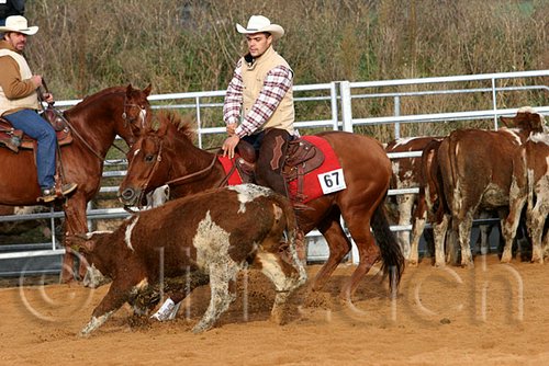 QH062_1161n.jpg