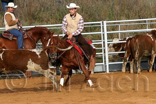 QH062_1162n.jpg