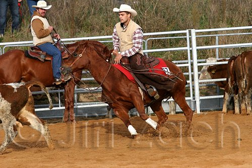 QH062_1163n.jpg