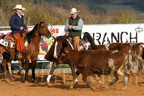 QH062_1166n.jpg