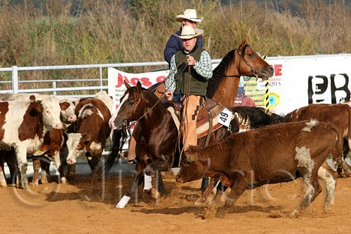 QH062_1167n.jpg