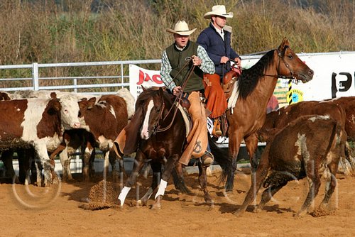 QH062_1168n.jpg