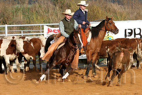 QH062_1169n.jpg