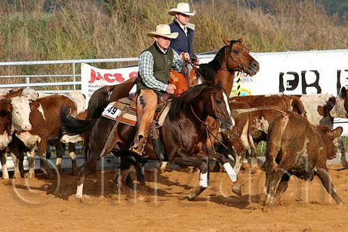 QH062_1170n.jpg