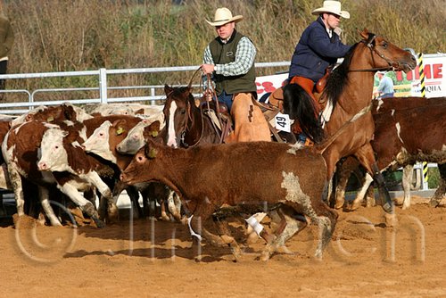 QH062_1173n.jpg