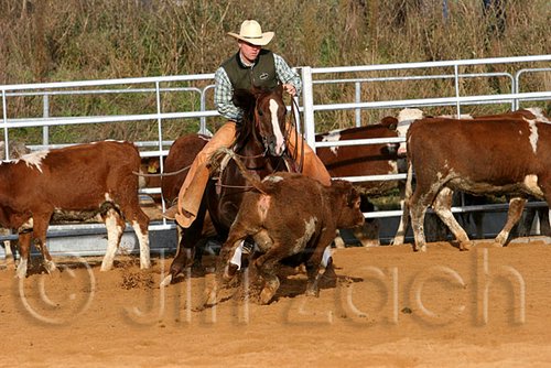 QH062_1174n.jpg