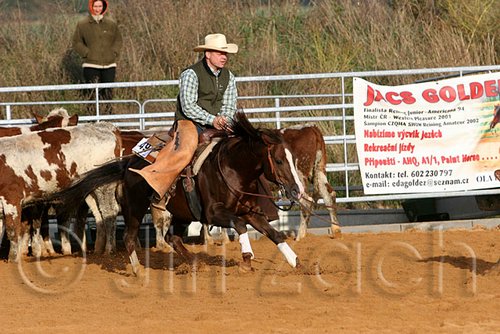 QH062_1179n.jpg