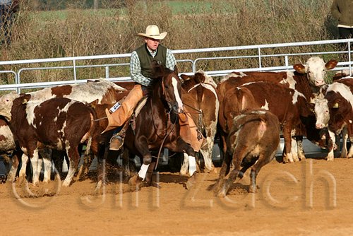 QH062_1183n.jpg