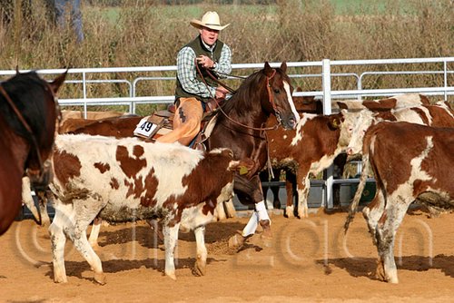 QH062_1185n.jpg