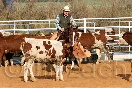 QH062_1186n.jpg