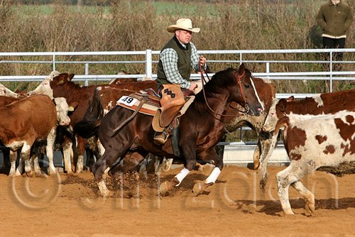 QH062_1188n.jpg