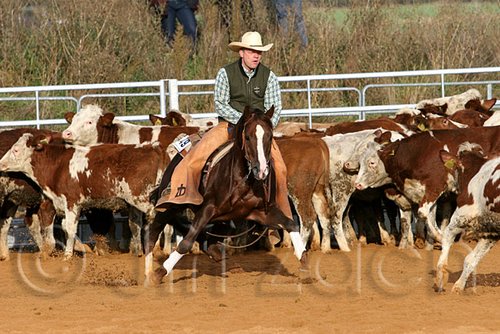 QH062_1194n.jpg
