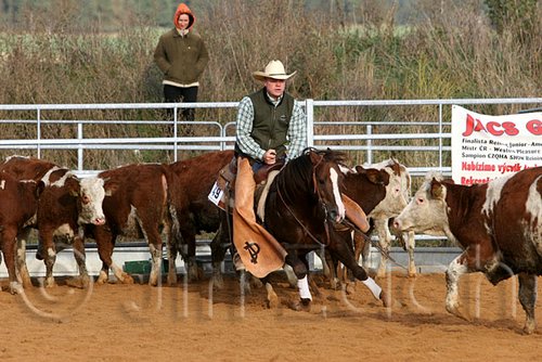 QH062_1200n.jpg
