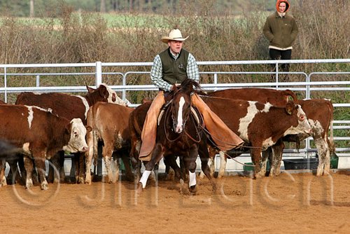 QH062_1203n.jpg