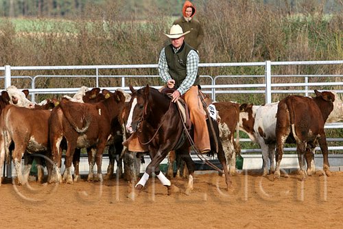 QH062_1208n.jpg