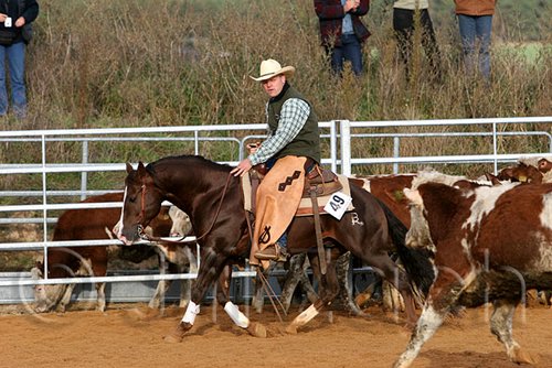 QH062_1210n.jpg