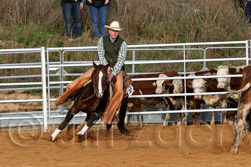 QH062_1211n.jpg