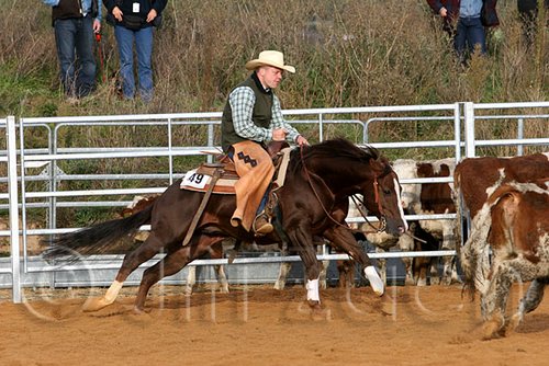 QH062_1212n.jpg