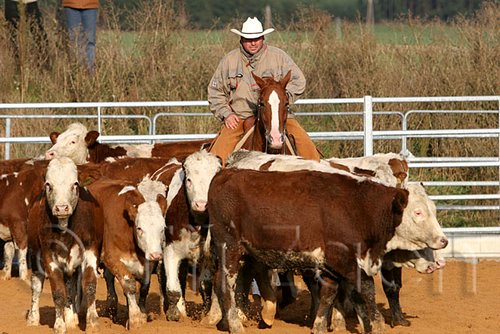 QH062_1216n.jpg