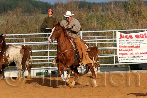 QH062_1219n.jpg