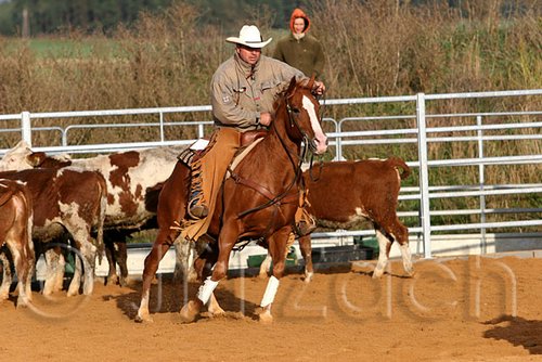 QH062_1220n.jpg