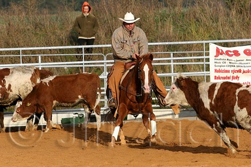 QH062_1222n.jpg