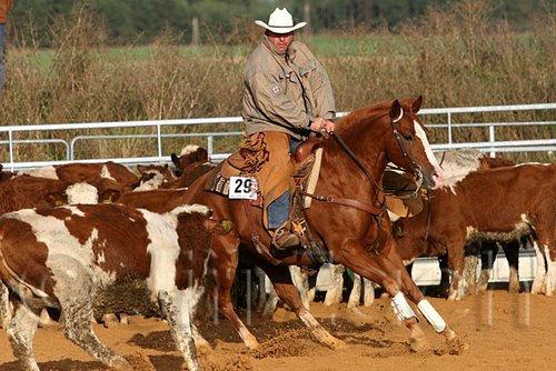 QH062_1227n.jpg