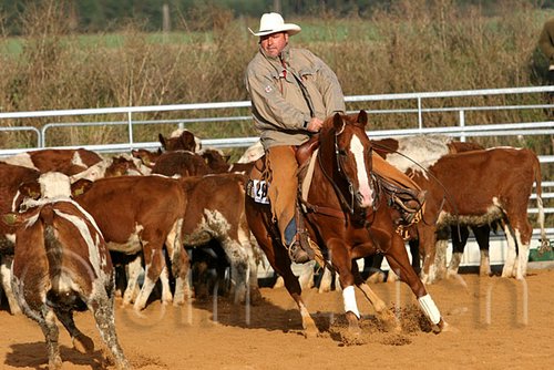 QH062_1228n.jpg