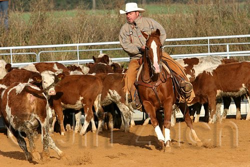 QH062_1229n.jpg